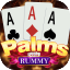 new rummy all game icon